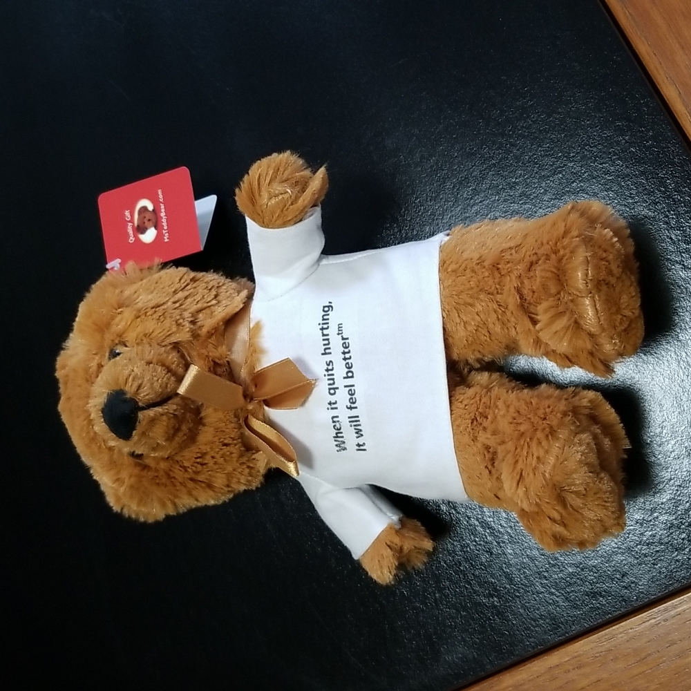 10" Teddy Bear in Novelty Tshirt...When It Quits Hurting...